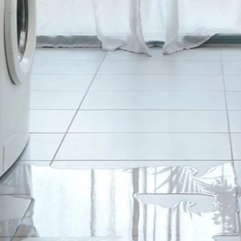 Appliance Leak Cleanup in Fairview, OR