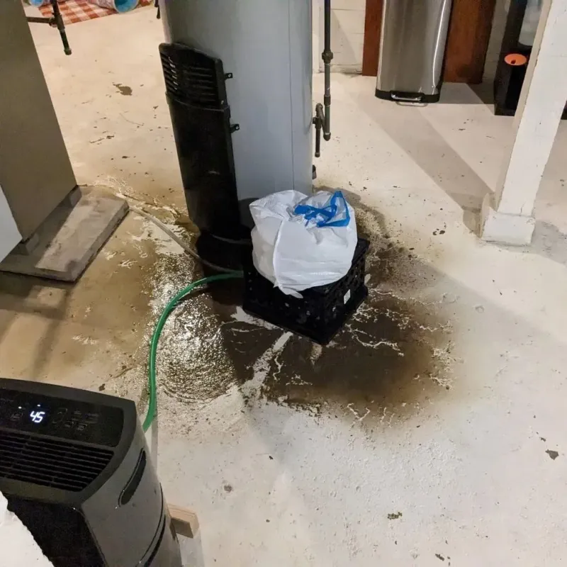 Sewage Backup Cleanup Service in Fairview, OR